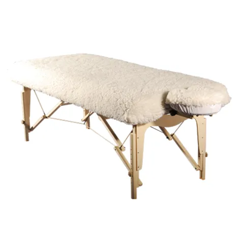 Stationary Massage Table Package